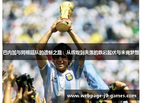 巴内加与阿根廷队的遗憾之路：从辉煌到失落的跌宕起伏与未竟梦想