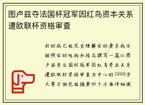 图卢兹夺法国杯冠军因红鸟资本关系遭欧联杯资格审查 图卢兹夺法国杯冠军因红鸟资本关系遭欧联杯资格审查